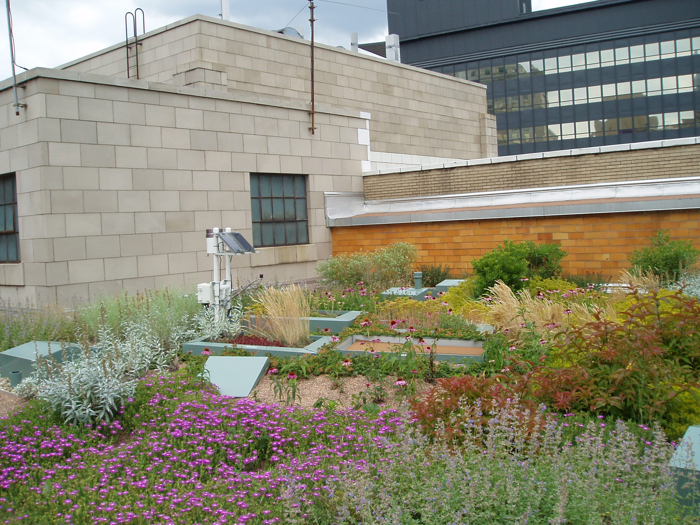 GreenRoof_1